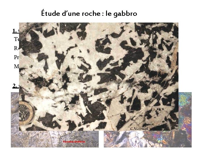 Étude d’une roche : le gabbro 1. Observation macroscopique Texture : Grenue (tous les Étude d’une roche : le gabbro 1. Observation macroscopique Texture : Grenue (tous les