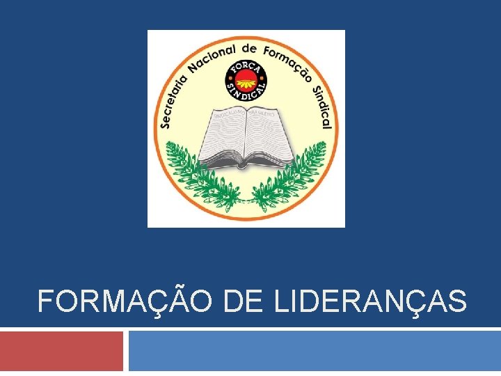 FORMAÇÃO DE LIDERANÇAS 