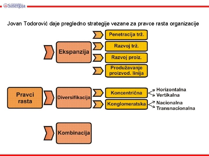 Jovan Todorović daje pregledno strategije vezane za pravce rasta organizacije 