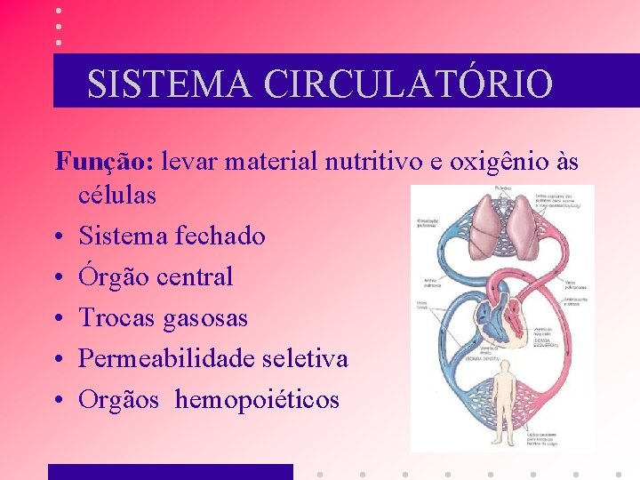 SISTEMA CIRCULATÓRIO Função: levar material nutritivo e oxigênio às células • Sistema fechado •