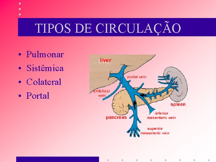TIPOS DE CIRCULAÇÃO • • Pulmonar Sistêmica Colateral Portal 