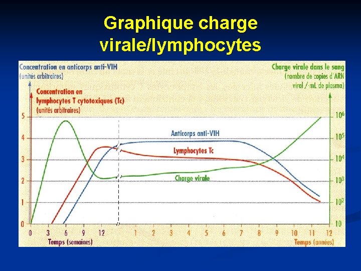 Graphique charge virale/lymphocytes 