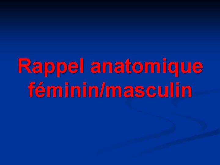 Rappel anatomique féminin/masculin 