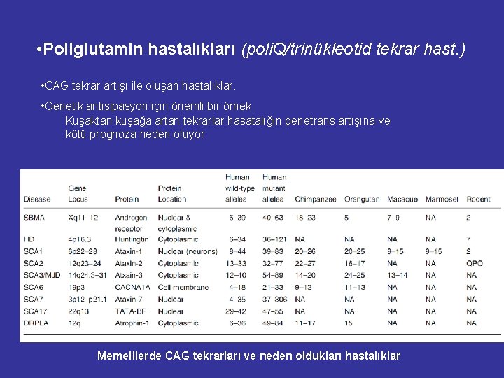 • Poliglutamin hastalıkları (poli. Q/trinükleotid tekrar hast. ) • CAG tekrar artışı ile • Poliglutamin hastalıkları (poli. Q/trinükleotid tekrar hast. ) • CAG tekrar artışı ile