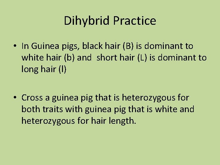 Dihybrid Practice • In Guinea pigs, black hair (B) is dominant to white hair