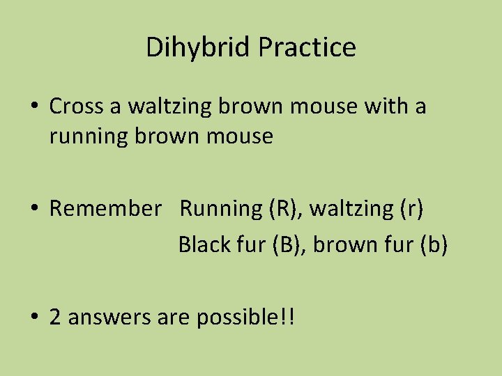 Dihybrid Practice • Cross a waltzing brown mouse with a running brown mouse •