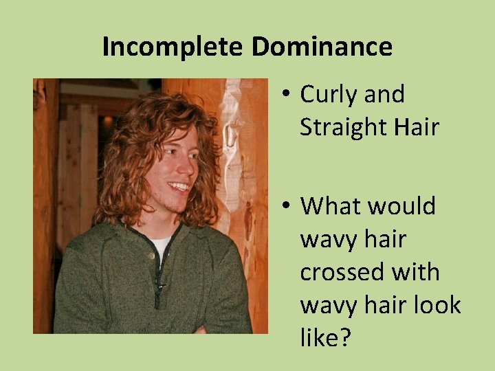 Incomplete Dominance • Curly and Straight Hair • What would wavy hair crossed with