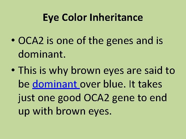 Eye Color Inheritance • OCA 2 is one of the genes and is dominant.