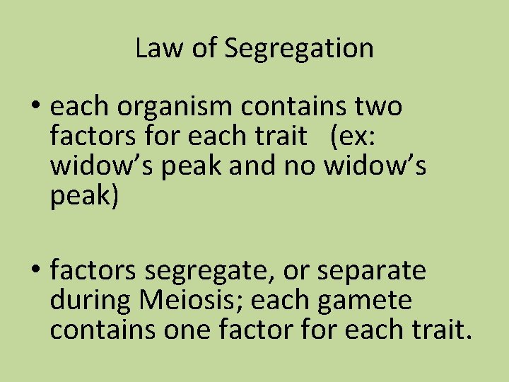 Law of Segregation • each organism contains two factors for each trait (ex: widow’s