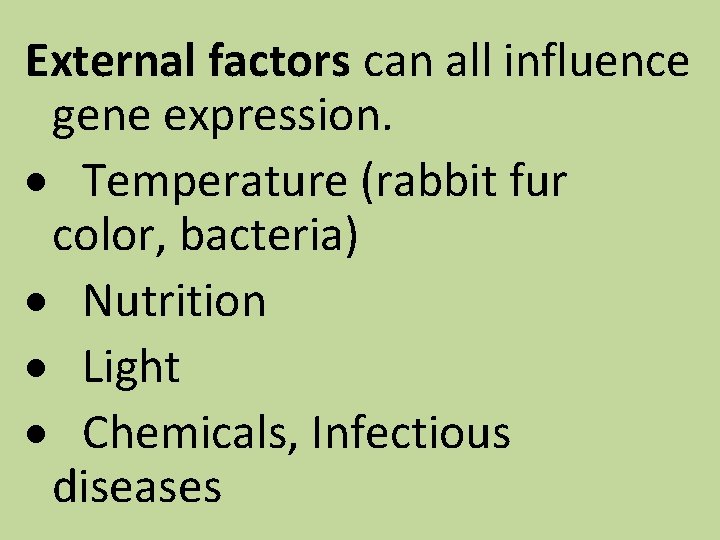 External factors can all influence gene expression. · Temperature (rabbit fur color, bacteria) ·