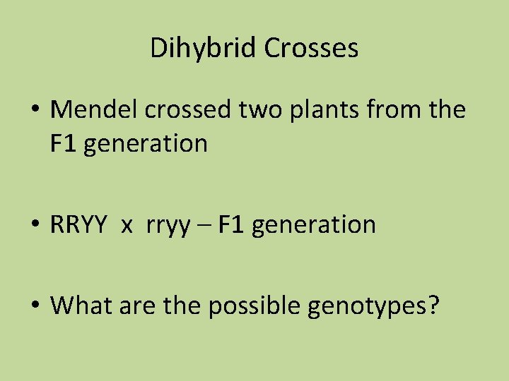Dihybrid Crosses • Mendel crossed two plants from the F 1 generation • RRYY