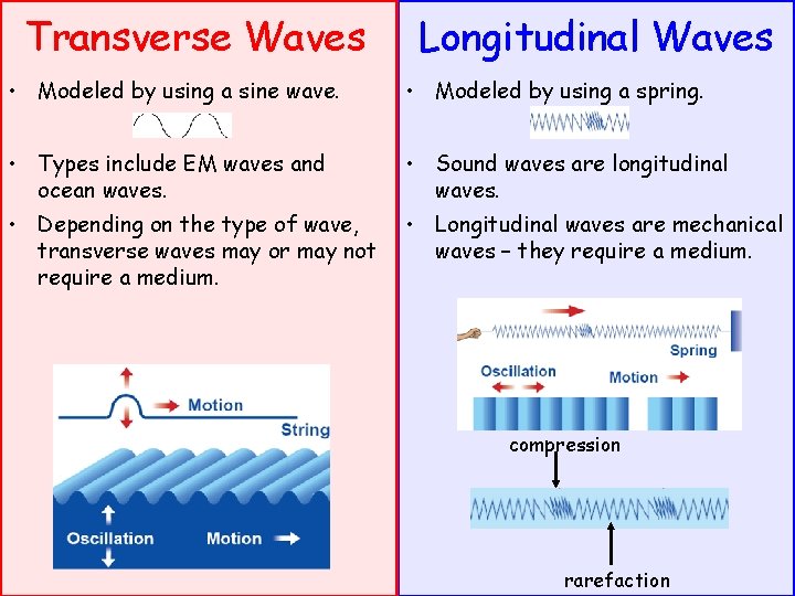 Transverse Waves Longitudinal Waves • Modeled by using a sine wave. • Modeled by