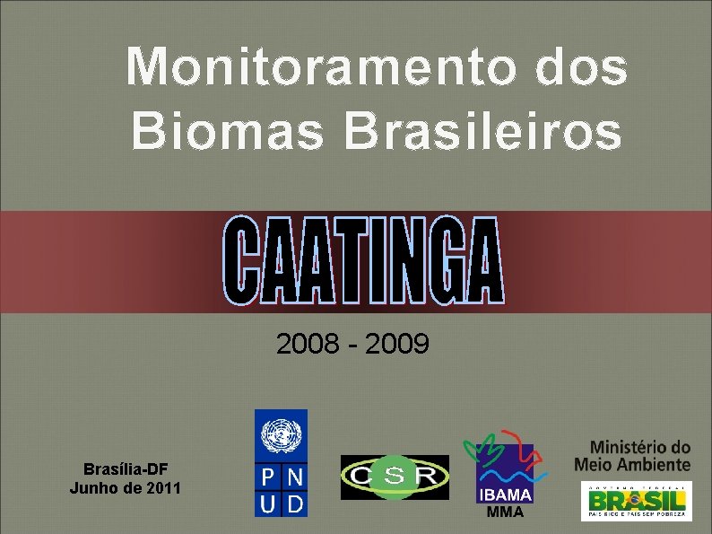 Monitoramento dos Biomas Brasileiros 2008 - 2009 Brasília-DF Junho de 2011 