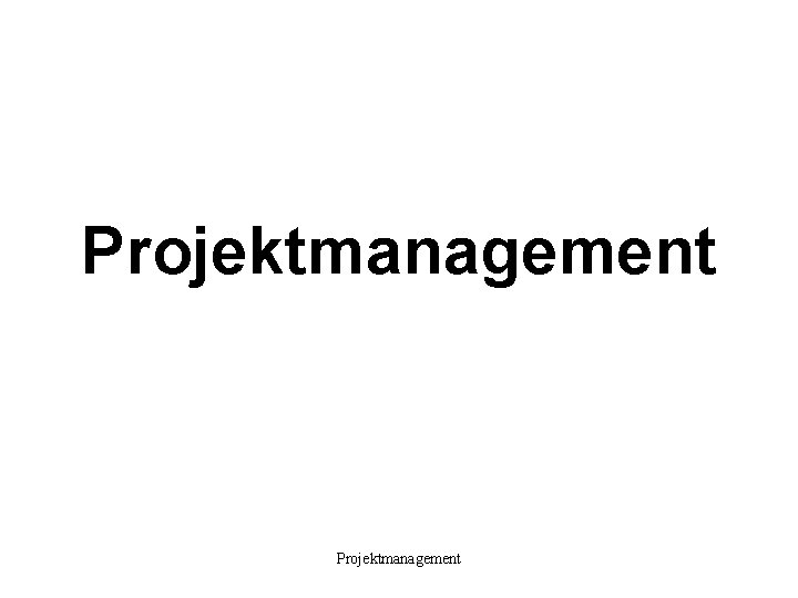 Projektmanagement 