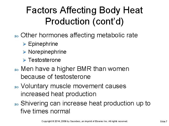 Factors Affecting Body Heat Production (cont’d) Other hormones affecting metabolic rate Epinephrine Ø Norepinephrine Factors Affecting Body Heat Production (cont’d) Other hormones affecting metabolic rate Epinephrine Ø Norepinephrine