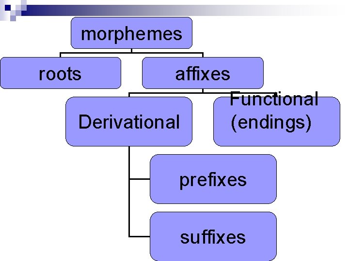 morphemes roots affixes Functional Derivational (endings) prefixes suffixes morphemes roots affixes Functional Derivational (endings) prefixes suffixes