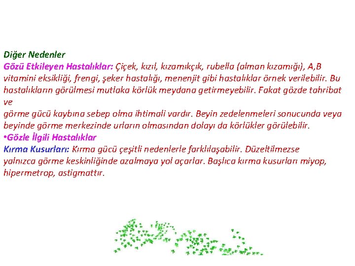 Diğer Nedenler Gözü Etkileyen Hastalıklar: Çiçek, kızıl, kızamıkçık, rubella (alman kızamığı), A, B vitamini