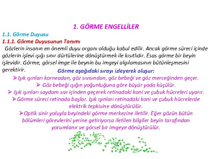 1. GÖRME ENGELLİLER 1. 1. Görme Duyusu 1. 1. 1. Görme Duyusunun Tanımı Gözlerin