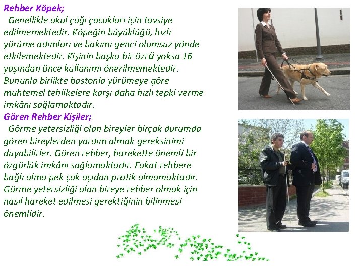 Rehber Köpek; Genellikle okul çağı çocukları için tavsiye edilmemektedir. Köpeğin büyüklüğü, hızlı yürüme adımları