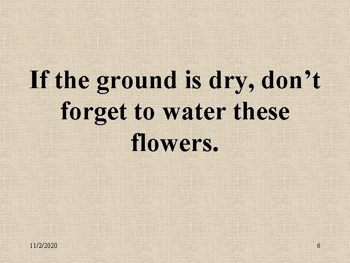 If the ground is dry, don’t forget to water these flowers. 11/2/2020 6 