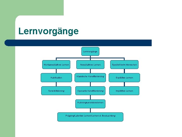 Lernvorgänge Nichtassoziatives Lernen Habituation Sensibilisierung Assoziatives Lernen Speziell beim Menschen Klassische Konditionierung Operante Konditionierung