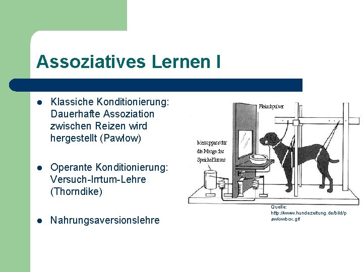 Assoziatives Lernen I l Klassiche Konditionierung: Dauerhafte Assoziation zwischen Reizen wird hergestellt (Pawlow) l