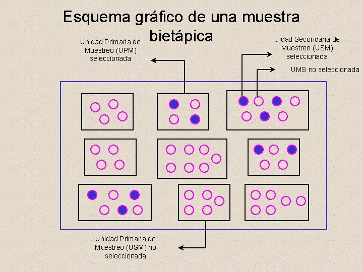 Esquema gráfico de una muestra Uidad Secundaria de Unidad Primaria de bietápica Muestreo (UPM)