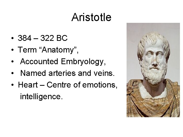 Aristotle • • • 384 – 322 BC Term “Anatomy”, Accounted Embryology, Named arteries