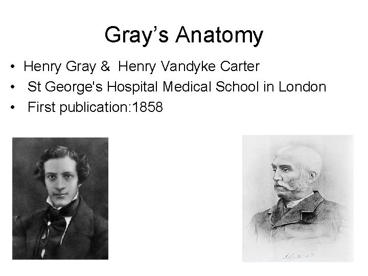 Gray’s Anatomy • Henry Gray & Henry Vandyke Carter • St George's Hospital Medical