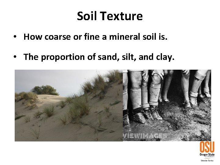 Soil Texture • How coarse or fine a mineral soil is. • The proportion