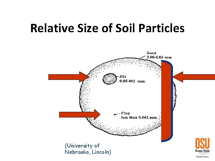 Relative Size of Soil Particles (University of Nebraska, Lincoln) 