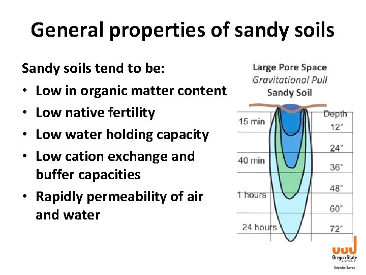 General properties of sandy soils Sandy soils tend to be: • Low in organic