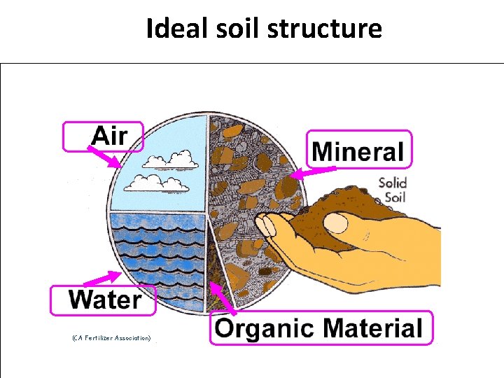 Ideal soil structure (CA Fertilizer Association) 