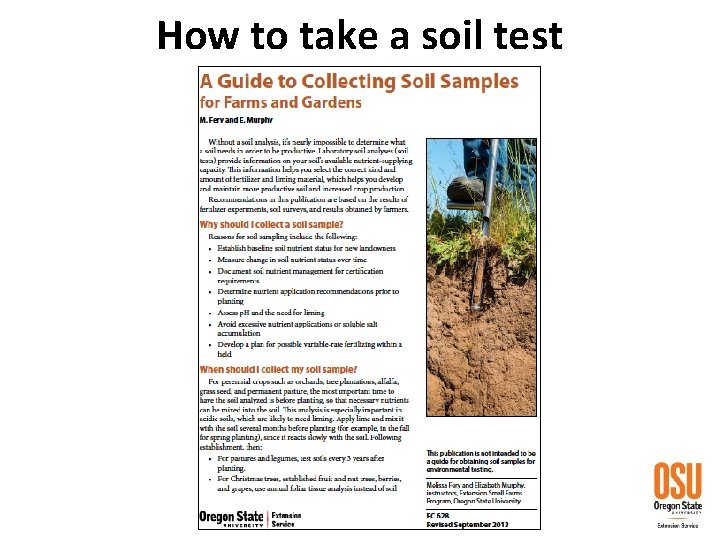 How to take a soil test 