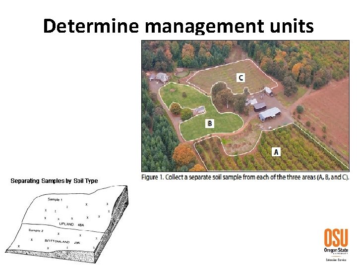 Determine management units 