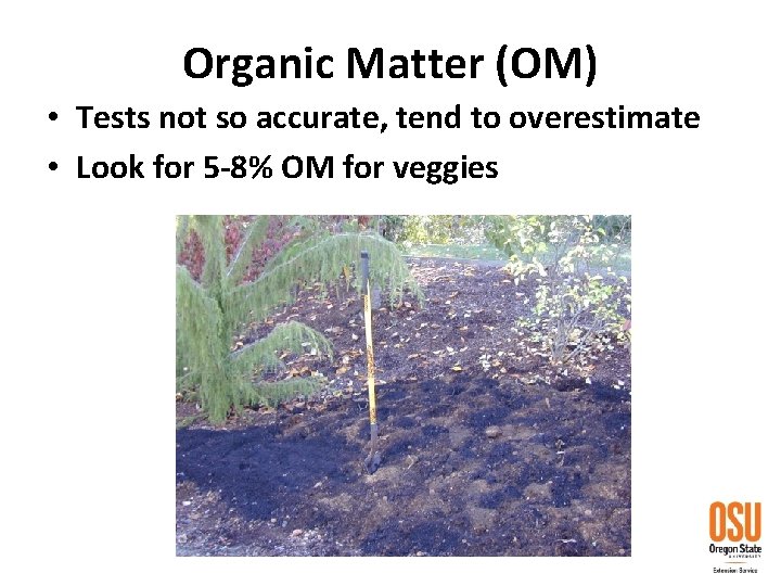 Organic Matter (OM) • Tests not so accurate, tend to overestimate • Look for