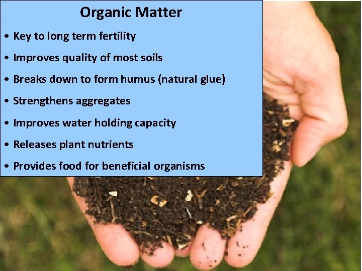 Organic Matter • Key to long term fertility • Improves quality of most soils