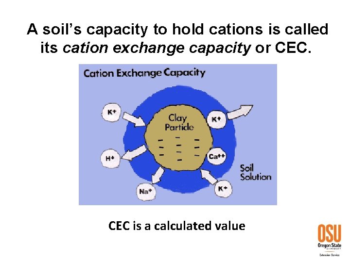 A soil’s capacity to hold cations is called its cation exchange capacity or CEC