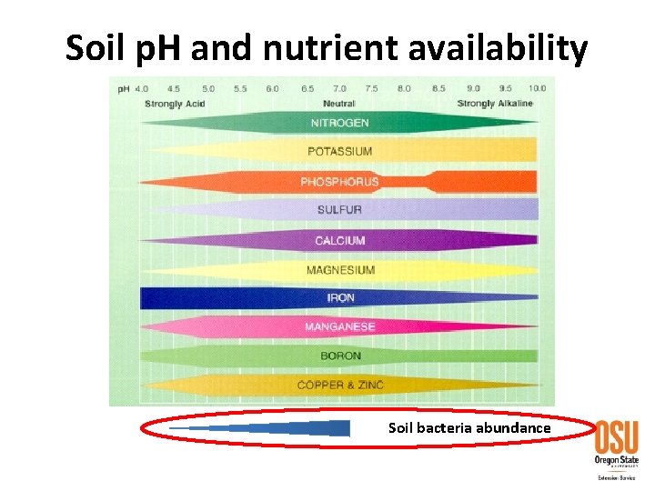 Soil p. H and nutrient availability Soil bacteria abundance 