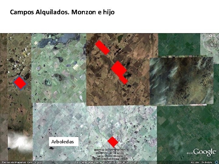 Campos Alquilados. Monzon e hijo Arboledas 