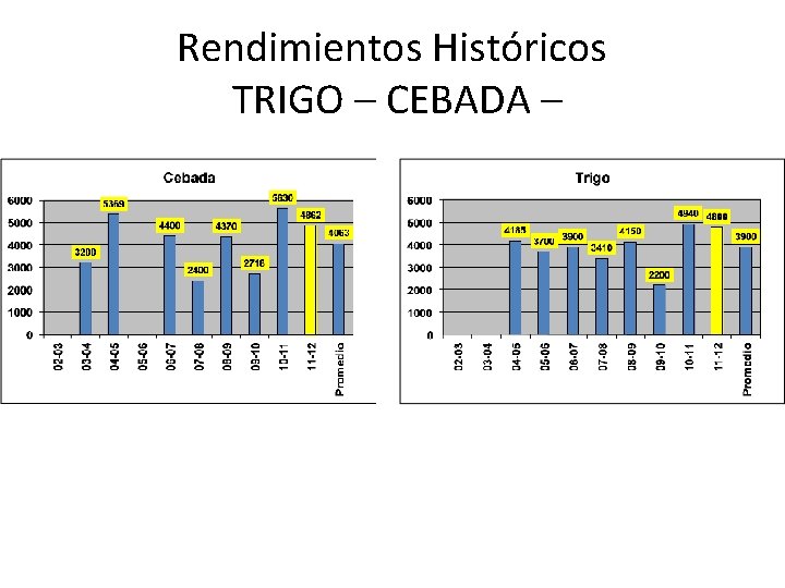 Rendimientos Históricos TRIGO – CEBADA – 