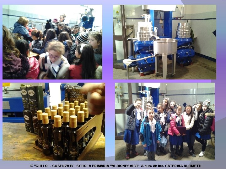 IC "GULLO" - COSENZA IV - SCUOLA PRIMARIA "M. DIONESALVI“ A cura di: Ins.