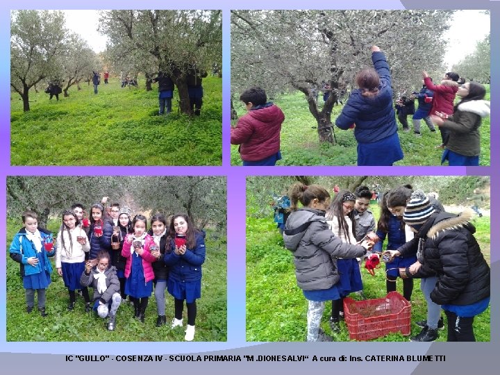 IC "GULLO" - COSENZA IV - SCUOLA PRIMARIA "M. DIONESALVI“ A cura di: Ins.