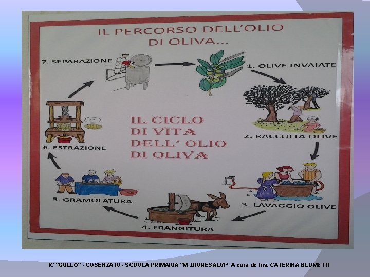 IC "GULLO" - COSENZA IV - SCUOLA PRIMARIA "M. DIONESALVI“ A cura di: Ins.