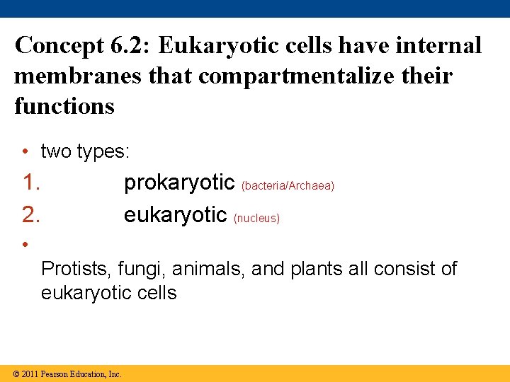 Concept 6. 2: Eukaryotic cells have internal membranes that compartmentalize their functions • two