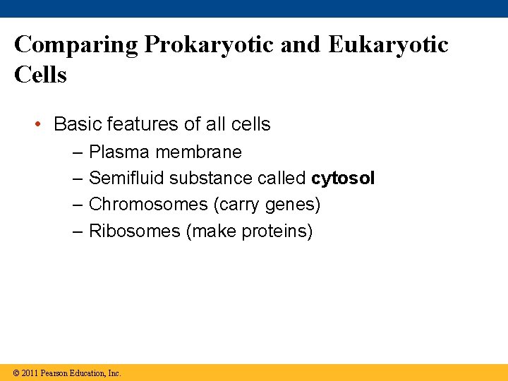 Comparing Prokaryotic and Eukaryotic Cells • Basic features of all cells – Plasma membrane