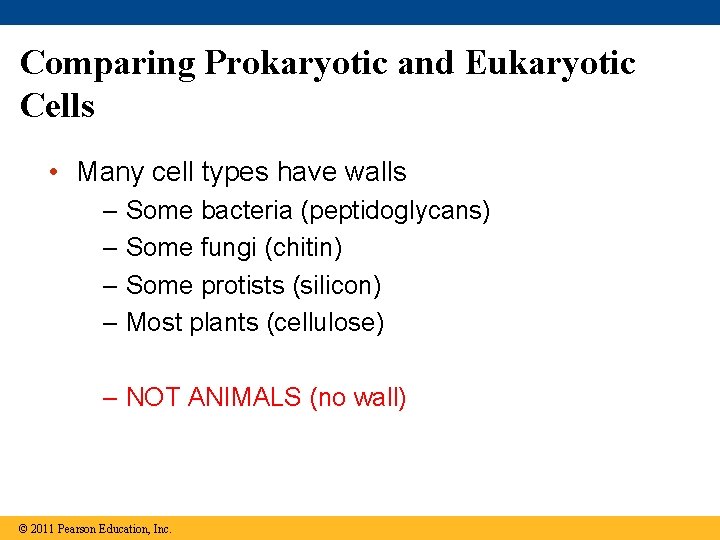 Comparing Prokaryotic and Eukaryotic Cells • Many cell types have walls – Some bacteria