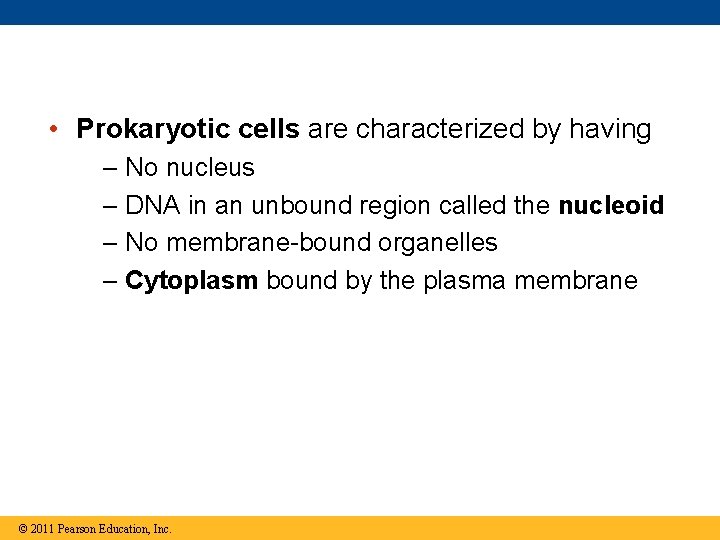  • Prokaryotic cells are characterized by having – No nucleus – DNA in