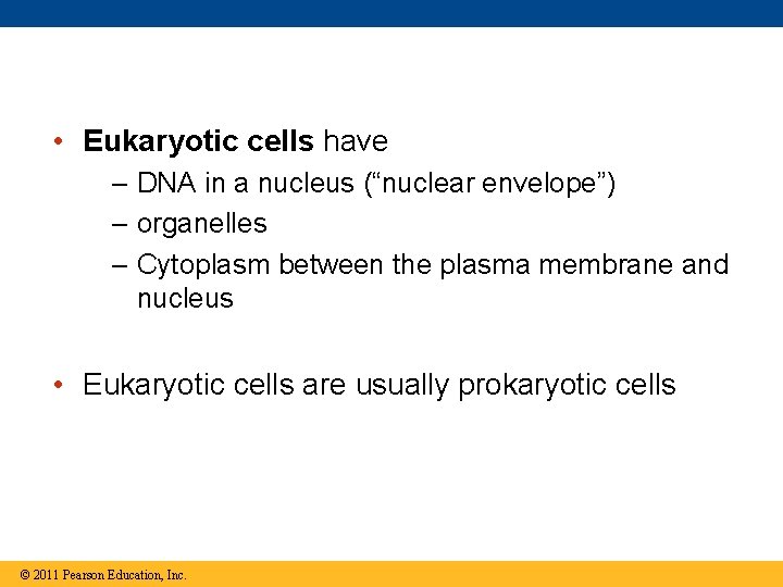  • Eukaryotic cells have – DNA in a nucleus (“nuclear envelope”) – organelles