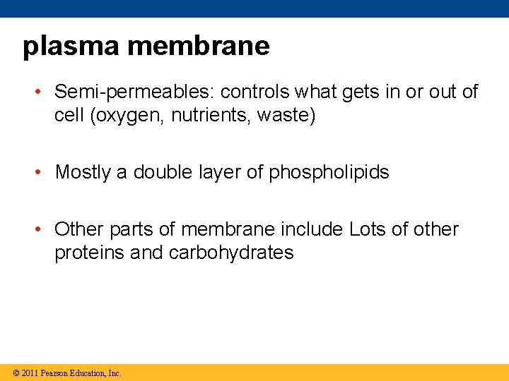 plasma membrane • Semi-permeables: controls what gets in or out of cell (oxygen, nutrients,